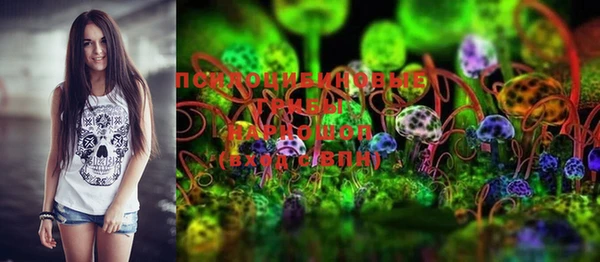 PSILOCYBIN Аркадак