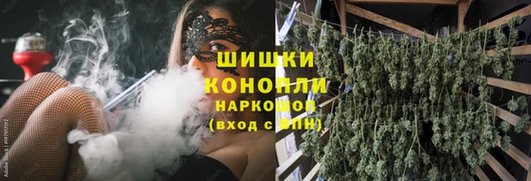 PSILOCYBIN Аркадак