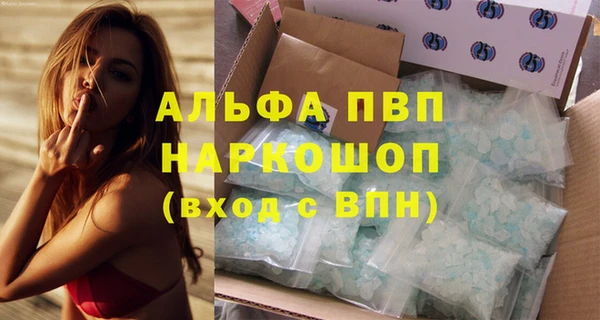 индика Зеленодольск