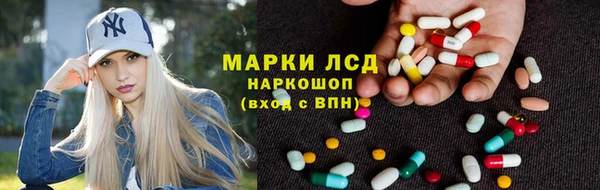 PSILOCYBIN Аркадак