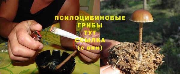 меф Козельск
