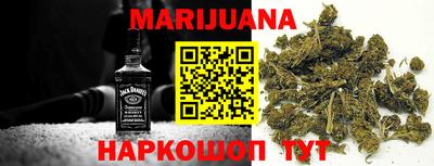тгк Кингисепп