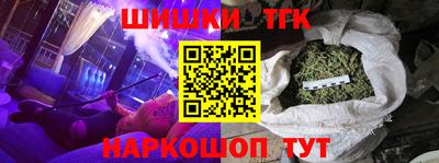тгк Кингисепп