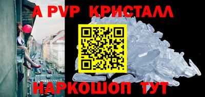 тгк Кингисепп