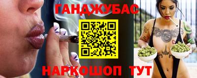 тгк Кингисепп