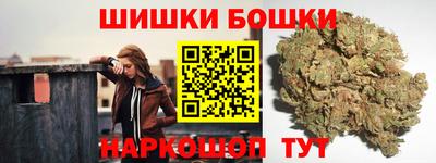 тгк Кингисепп