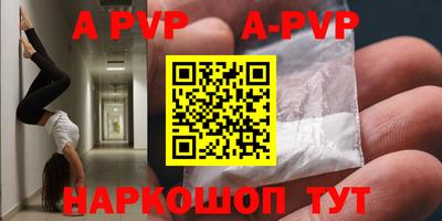 тгк Кингисепп
