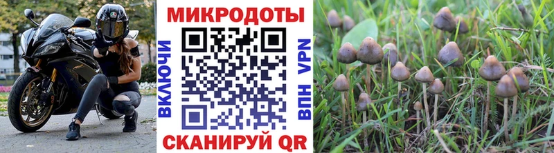 Галлюциногенные грибы мицелий kraken маркетплейс Междуреченск