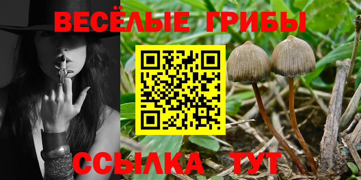Псилоцибиновые грибы прущие грибы Междуреченск